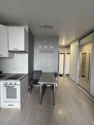 1к квартира Голосієво фото 7 1к квартира Голосієво фото 7