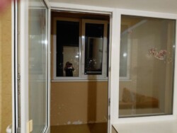 2к Борщагівка фото 3 2к Борщагівка фото 3