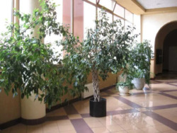 1к квартира Вокзальна фото 6 1к квартира Вокзальна фото 6