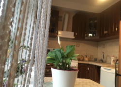 3-к квартира метро Чернігівська фото 2 3-к квартира метро Чернігівська фото 2