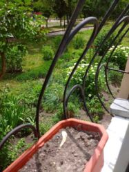 2-к ДВРЗ фото 12 2-к ДВРЗ фото 12