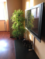 1� - ����� ����� ������� ���� 6