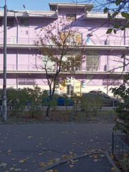 1к Оболонь фото 12 1к Оболонь фото 12