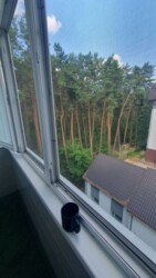 1� �������� �� ���� ���� 13