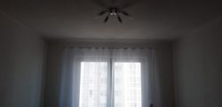   , , ,   ., 36, .   3