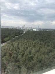 1к Східна Брама Бортничи фото 14 1к Східна Брама Бортничи фото 14