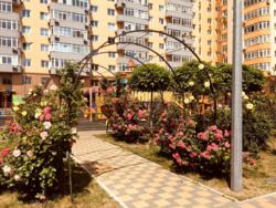 1� ��������. �������. �� ̳����������� ���� 1