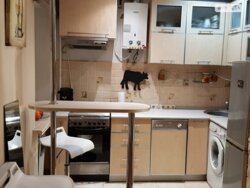 2к квартира. м. Мінська. фото 20 2к квартира. м. Мінська. фото 20