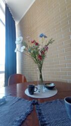 1� ����� ��������� ���� 5