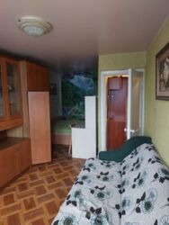 1к квартира. м. Дорогожичі. фото 3 1к квартира. м. Дорогожичі. фото 3
