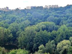 1� �������������� ����� ���� 17