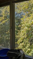 Здається квартира Київ фото 1 Здається квартира Київ фото 1