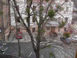 1к квартира фото 11 1к квартира фото 11