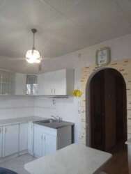   , , , .  , 36, .   2