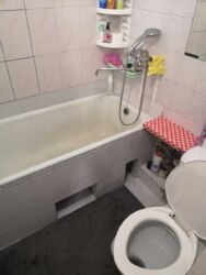 Здається квартира Київ, Голосіївський, Сеченова ул., 5, м. Васильківська фото 2 Здається квартира Київ, Голосіївський, Сеченова ул., 5, м. Васильківська фото 2