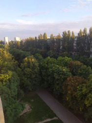 1� �������� ��������� ���� 8