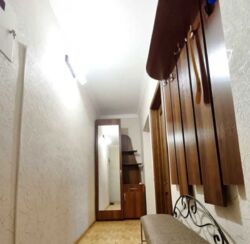 2к цирк фото 6 2к цирк фото 6