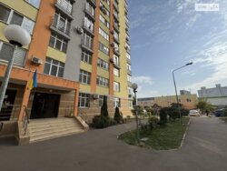 1� ��������. �������. ���� 15