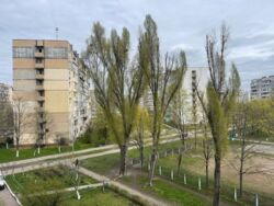 2к Троєщина фото 15 2к Троєщина фото 15