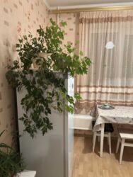 3к метро Вирлиця фото 14 3к метро Вирлиця фото 14