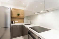 1-к Печерськ фото 4 1-к Печерськ фото 4