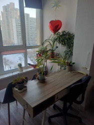 4� �������� / ������� ���� 7