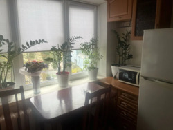 2� ����� ��������� ���� 2