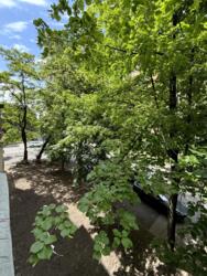 2к метро Університет фото 19 2к метро Університет фото 19