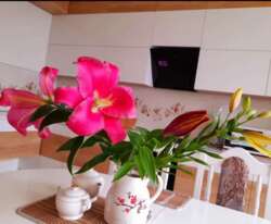 Нова 2-к в ЖК 'Кришталеві Джерела' фото 1 Нова 2-к в ЖК 'Кришталеві Джерела' фото 1