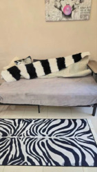 2� �������� ��������� ���� 15