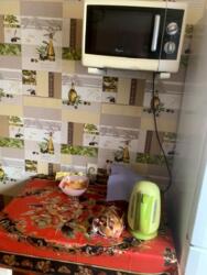 3� ��������. �����������. �������. ���� 3