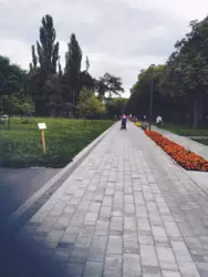 Здається квартира Київ, Святошинський, пр. Леся Курбаса, 7б фото 7 Здається квартира Київ, Святошинський, пр. Леся Курбаса, 7б фото 7