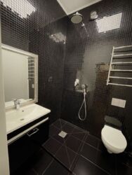 Сдается 1-комнатная квартира Печерский фото 7 Сдается 1-комнатная квартира Печерский фото 7