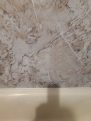 Здається квартира фото 3 Здається квартира фото 3