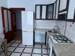 ������� �������� ���������, 11, �����-���������, �����-����������, ����� ���� 14