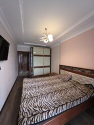 ������� �������� ���. �����������, 146, �����-���������, �����-����������, ����� ���� 12