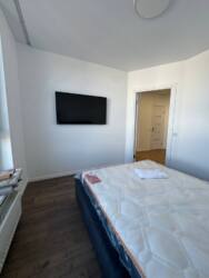 ������� �������� �����-����������, �����-���������, �����, �������� ���� 13