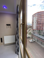 ������� �������� �����������, 2, �����-���������, �����-����������, ������ ���� 8