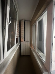 ������� �������� ����������� �. ���., 17, �����-���������, �����-����������, ������ ���� 5