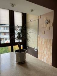 ������� �������� ���������, 1, �������, �������������, �����-���������� ���� 1