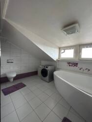 ������� �������� �������, ��������, �����-��������� ����, �����-���������� ���� 12