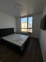 ������� �������� �����-����������, �����-���������, �����, �������� ���� 8