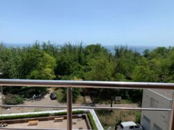 Сдам квартиру в Одессе фото 13 Сдам квартиру в Одессе фото 13