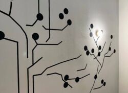 Сдам шикарную квартиру в центре Одессы фото 3 Сдам шикарную квартиру в центре Одессы фото 3