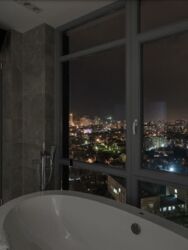 Сдам пентхаус с террасой в Аркадии фото 16 Сдам пентхаус с террасой в Аркадии фото 16