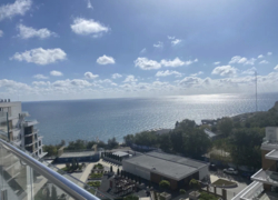 Сдам квартиру с террасой в Одессе фото 10 Сдам квартиру с террасой в Одессе фото 10