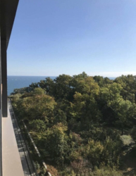 Сдам 1к квартиру в ЖК Гринвуд фото 2 Сдам 1к квартиру в ЖК Гринвуд фото 2