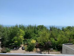 Сдам квартиру в Одессе фото 12 Сдам квартиру в Одессе фото 12