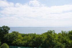 4к квартира в парке Шевченко фото 11 4к квартира в парке Шевченко фото 11