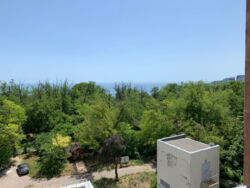 Сдам квартиру в Одессе фото 14 Сдам квартиру в Одессе фото 14